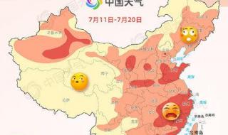 2021全国头伏热力地图