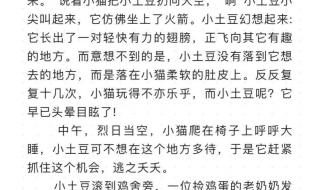 奇妙的想象300字作文